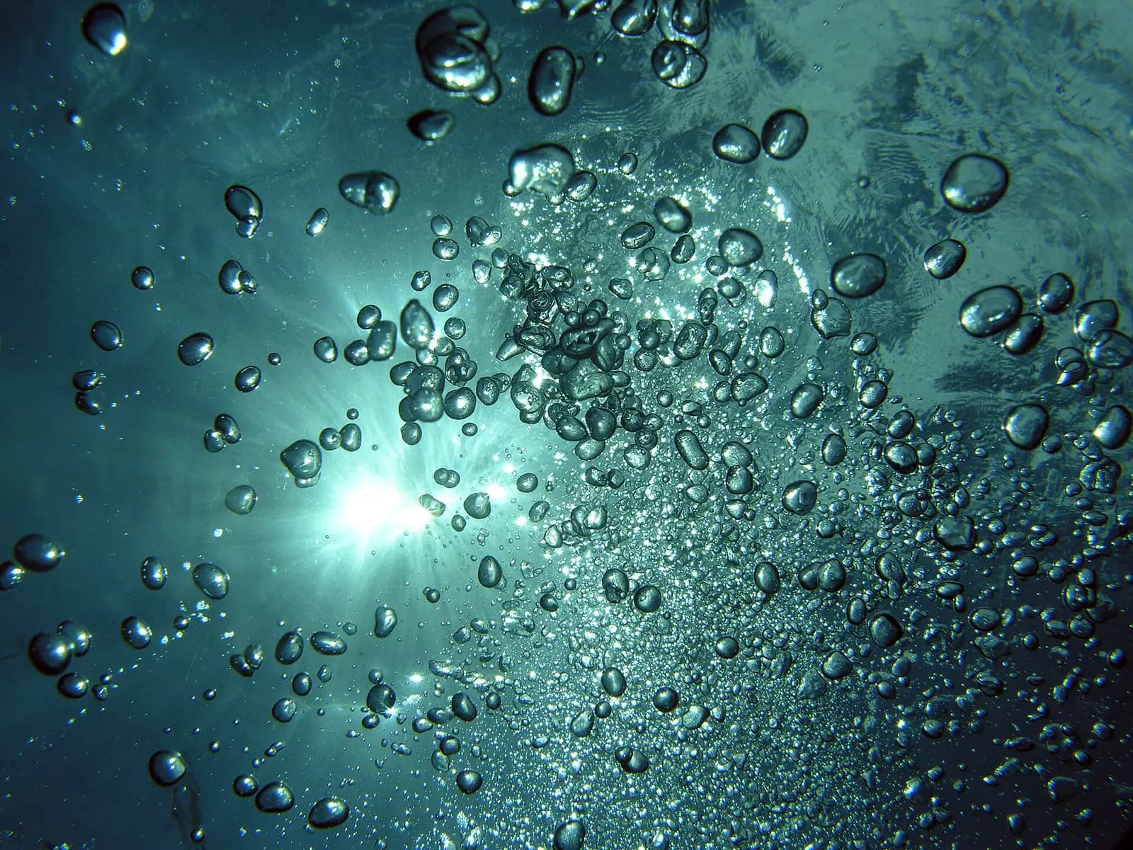 A diver underwater in the Andaman and Nicobar Islands