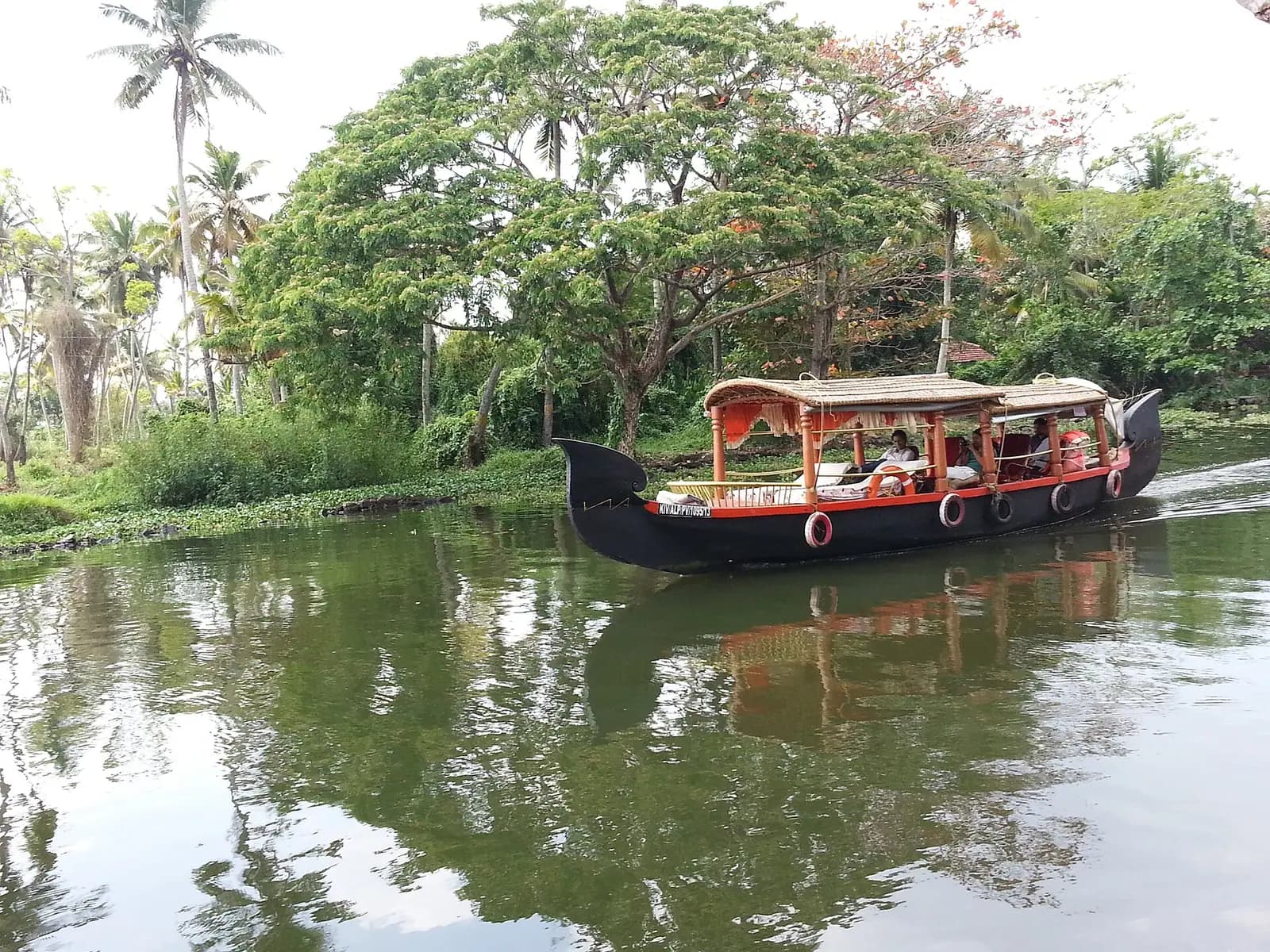 Open water and paddy bunds on Punnamada lake at Alappuzha, Kerala