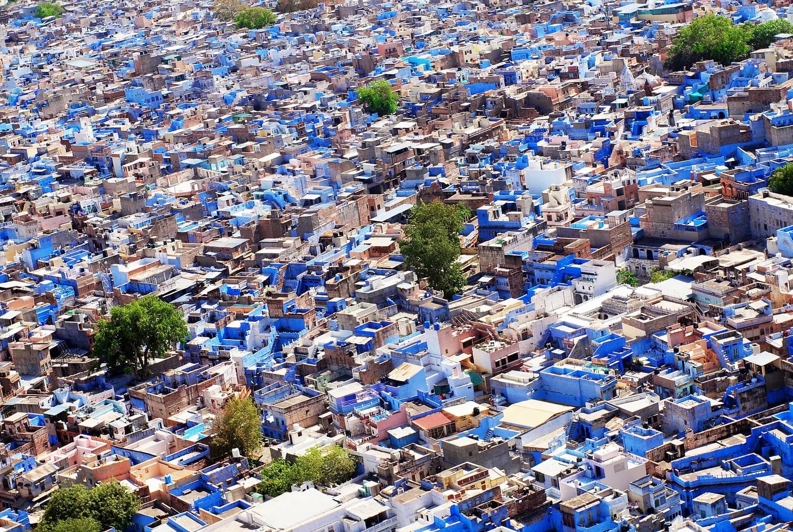 The blue-washed houses of the old city below Mehrangarh Fort in Jodhpur, Rajasthan