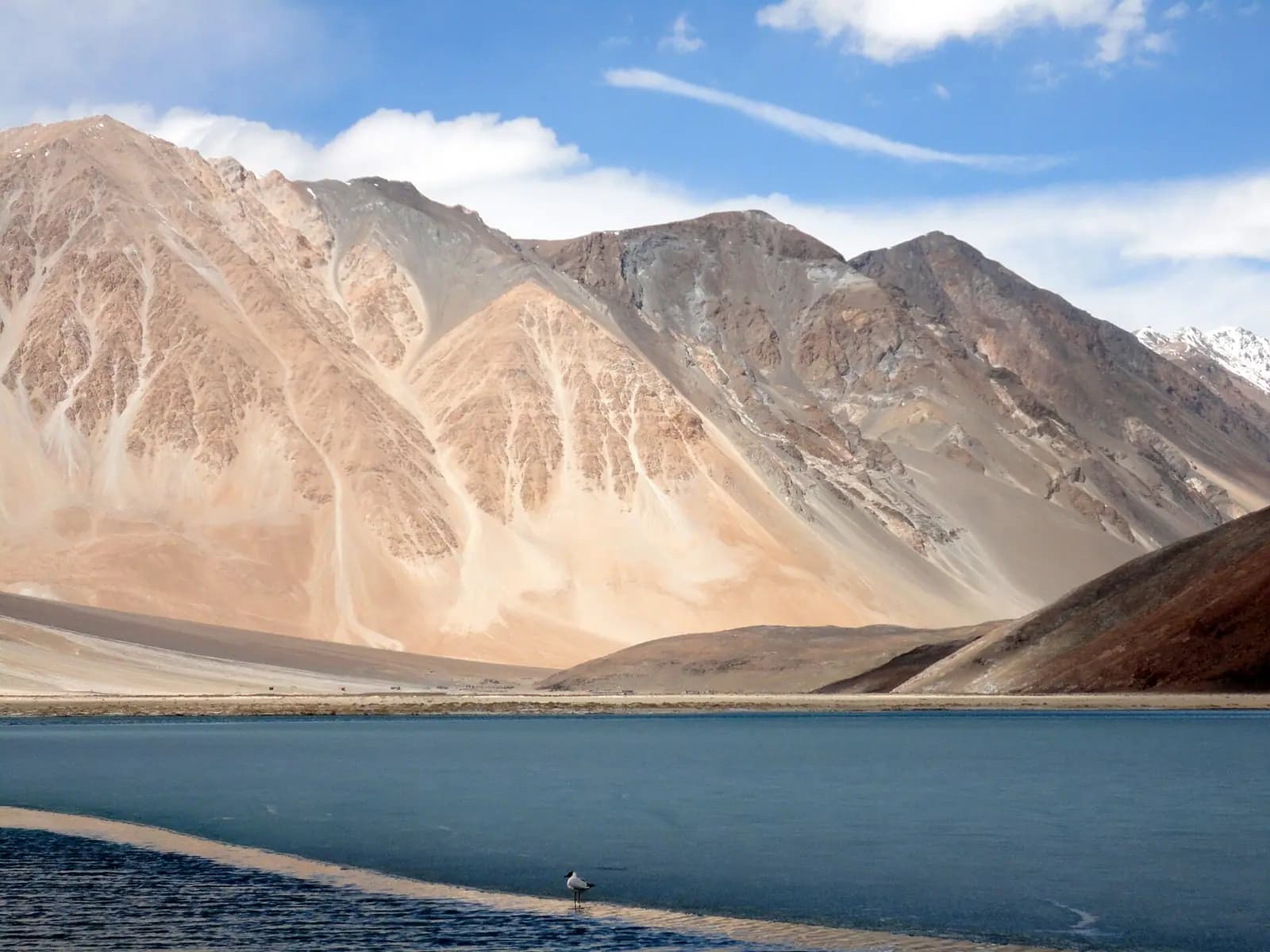 The stony shoreline of Pangong Tso stretching away between Ladakhi ridges