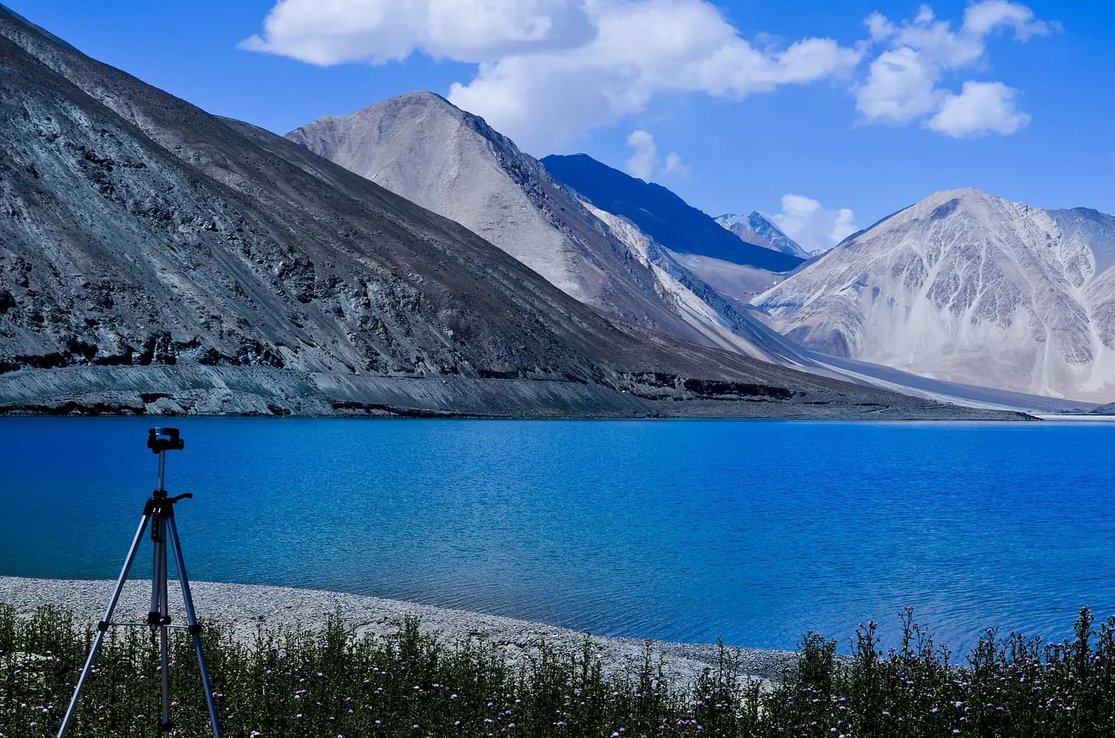 The deep blue water of Pangong Tso against bare brown mountains in Ladakh
