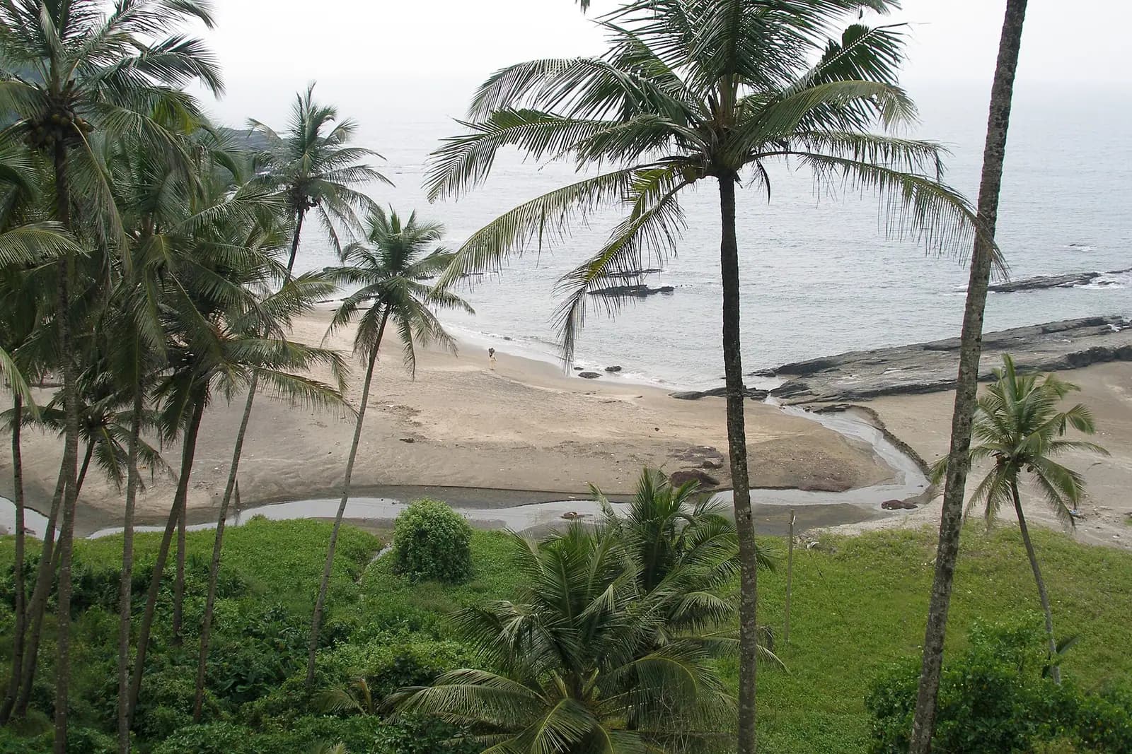 Palm-backed sand and surf along the Goa coastline