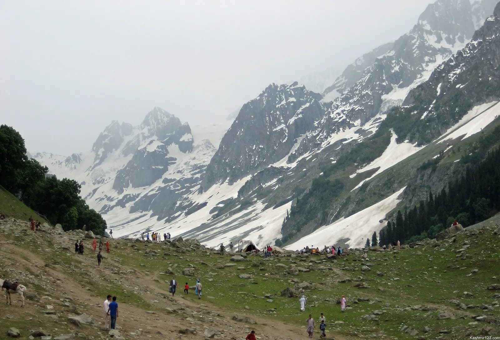 The Thajiwas glacier and its moraine above the meadows of Sonamarg, Kashmir