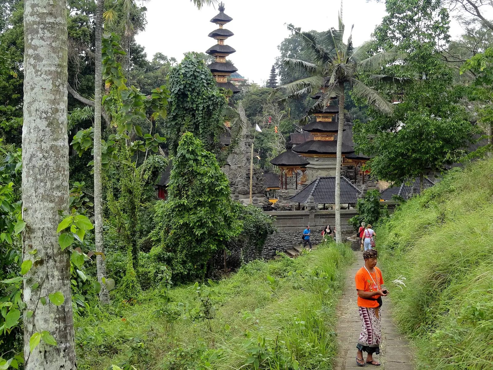 The grassy Campuhan ridge path above the valleys at Ubud, Bali