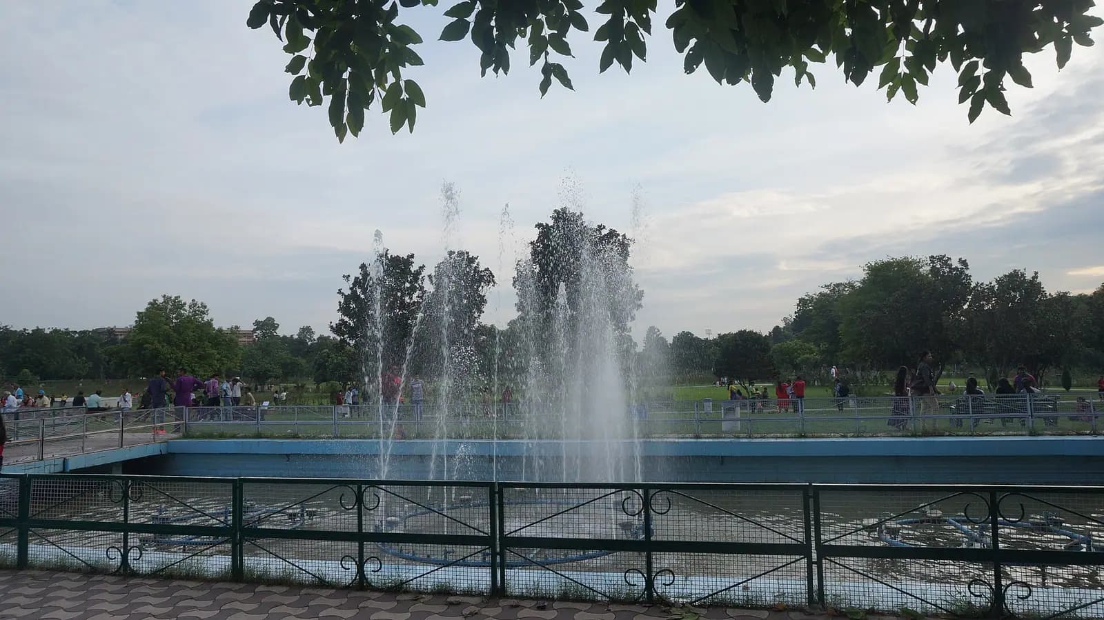 The terraced Zakir Hussain Rose Garden in Chandigarh