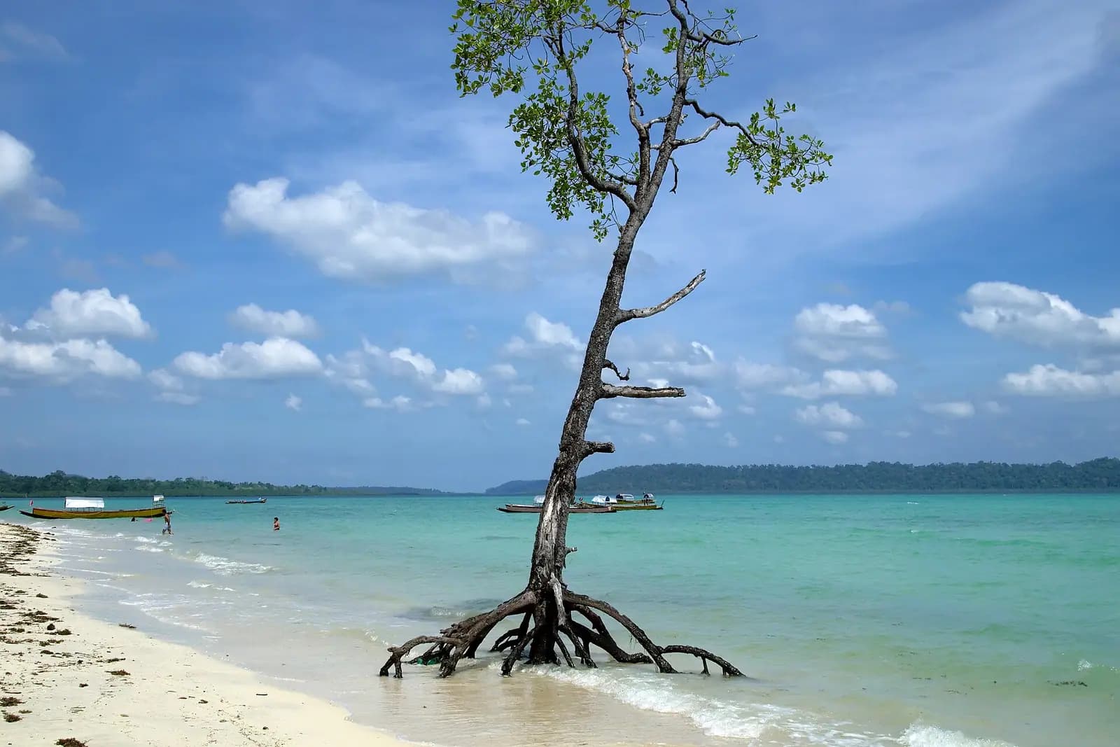 Turquoise water over sand at Havelock Island in the Andaman Islands