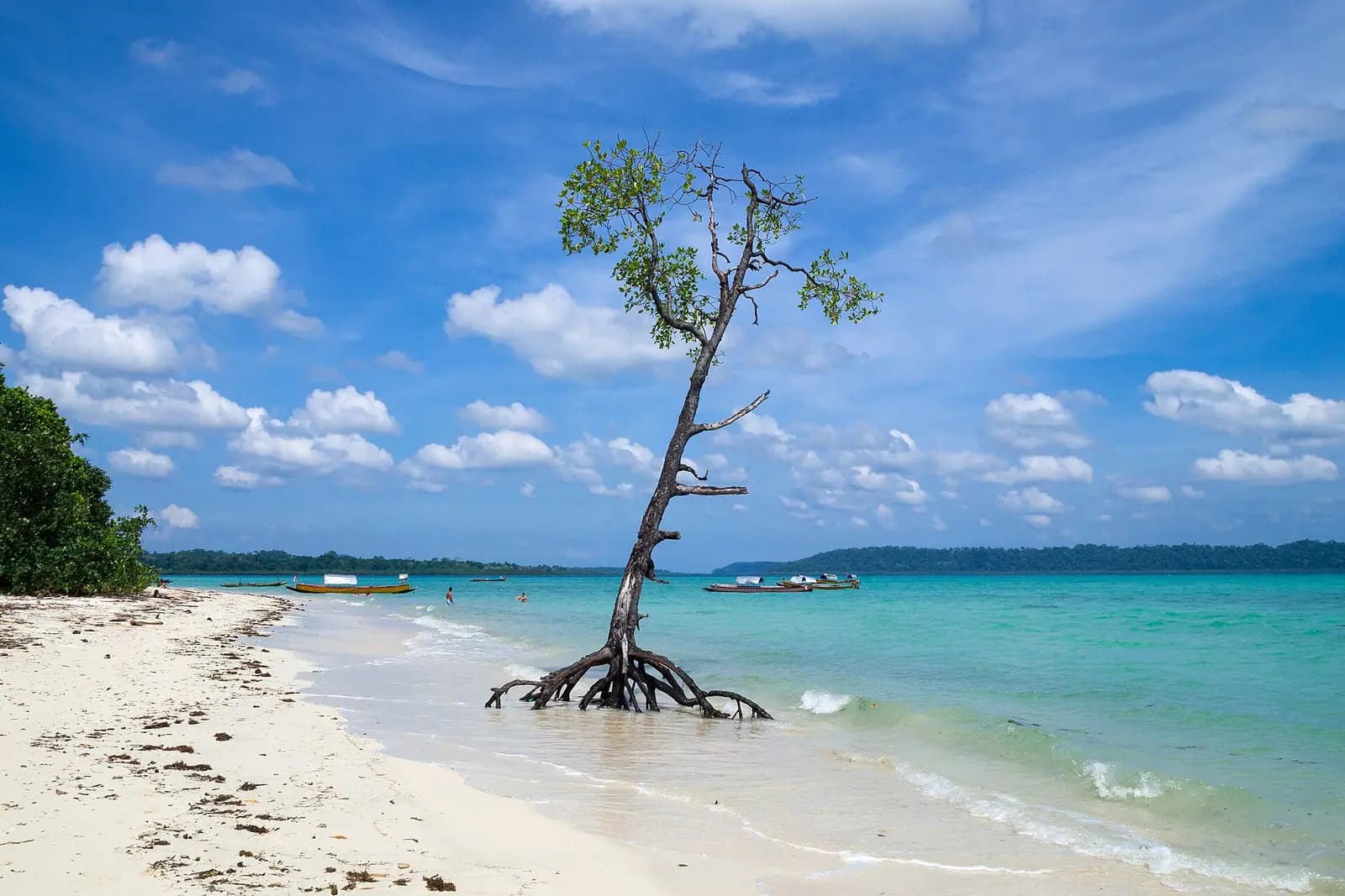Turquoise water over sand at Havelock Island in the Andaman Islands