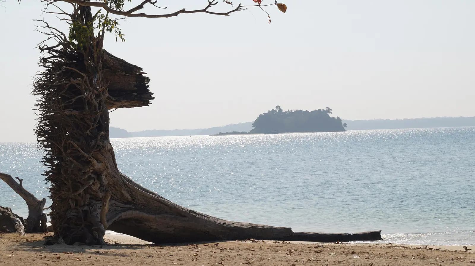 Clear turquoise shallows and forested shore in the Andaman Islands